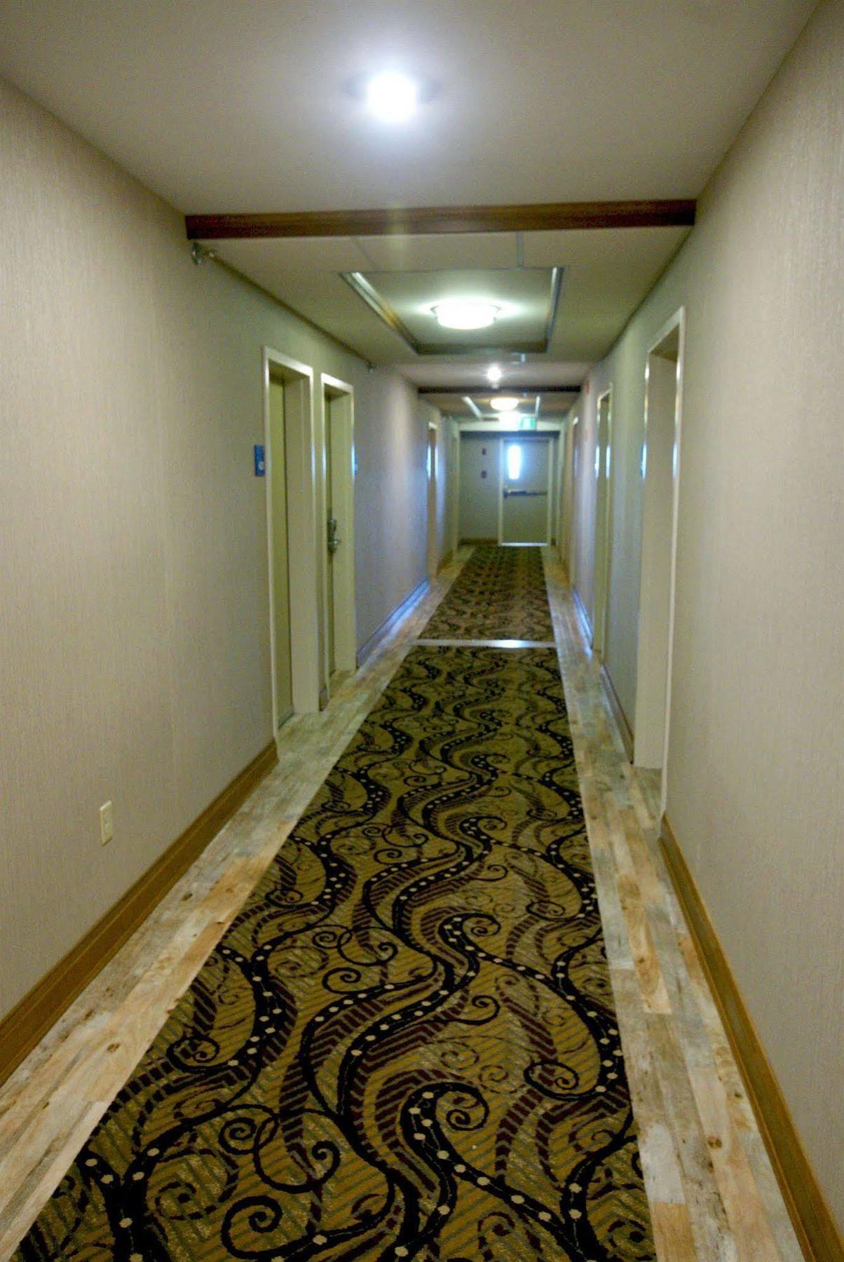 Holiday Inn Express Hotel & Suites Uptown Fredericton By Ihg Exterior photo